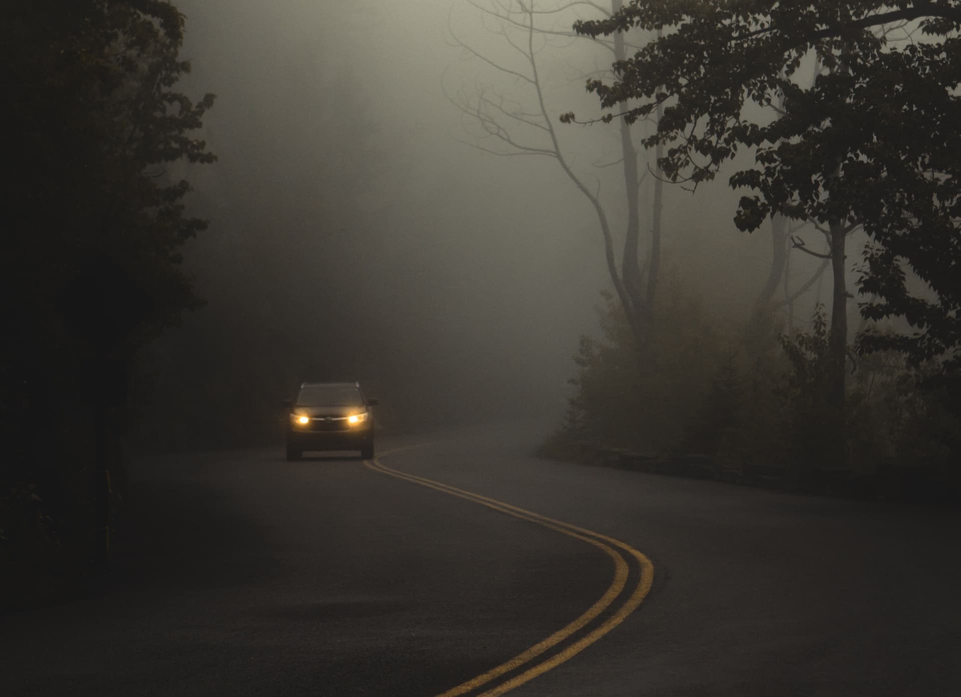 When the fog rolls in, what would you do?