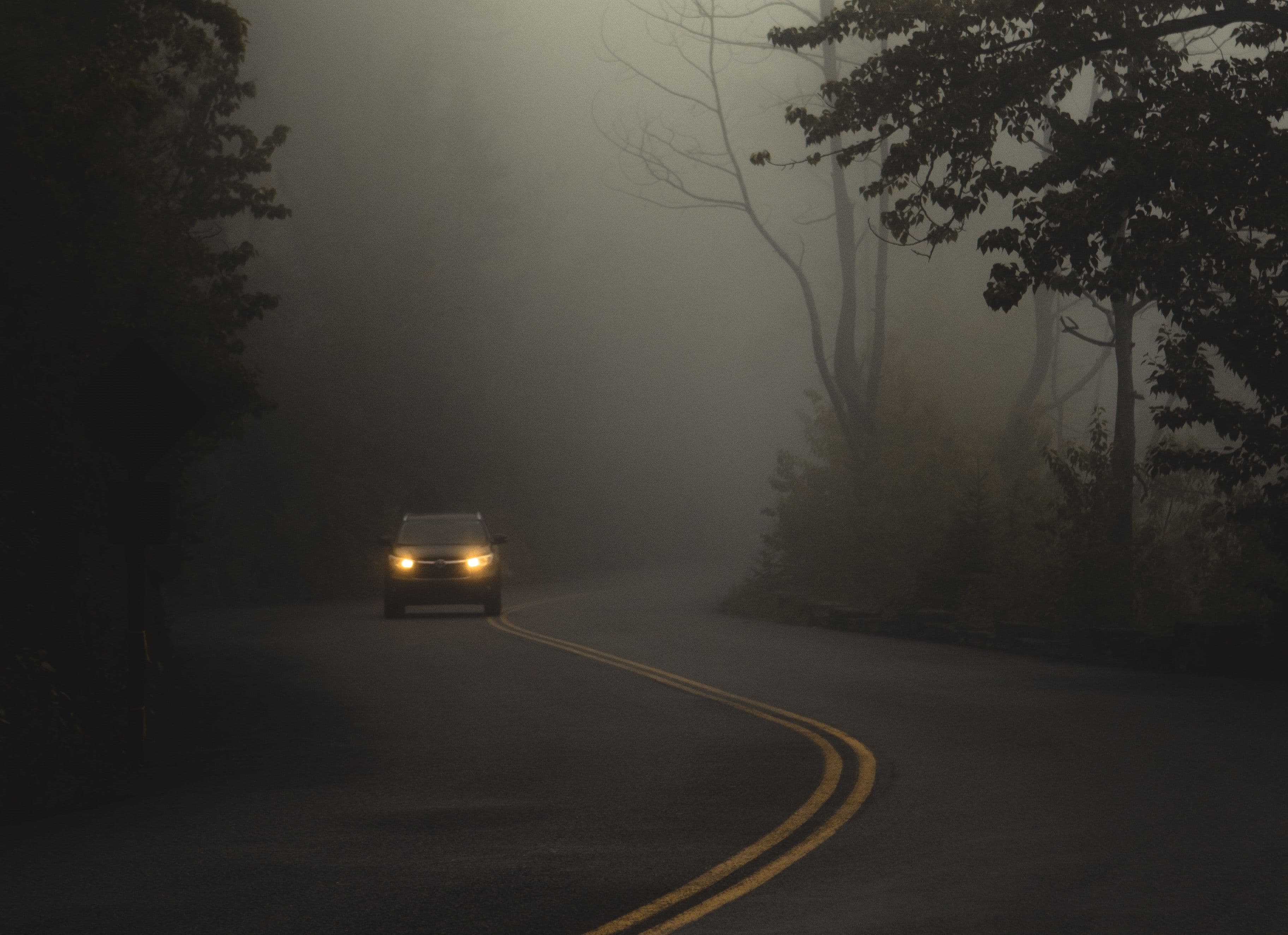 When the fog rolls in, what would you do?